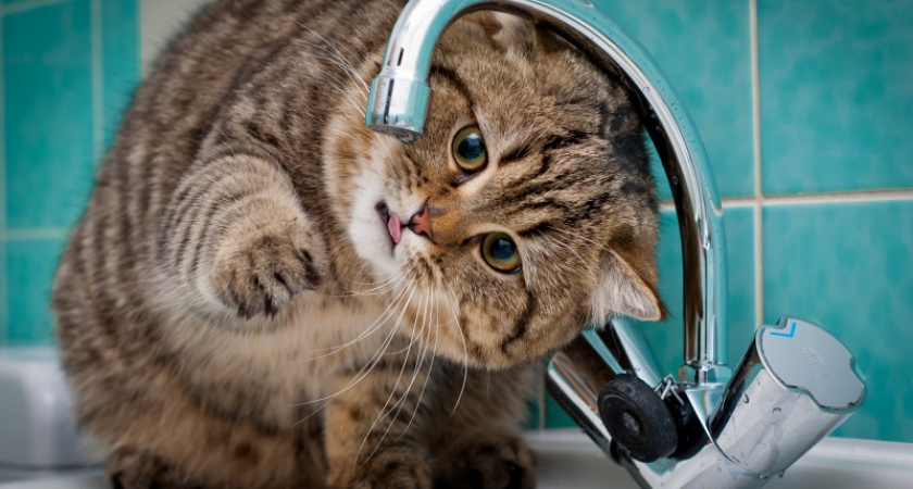 18 августа в некоторых районах Оренбурга отключат холодную воду