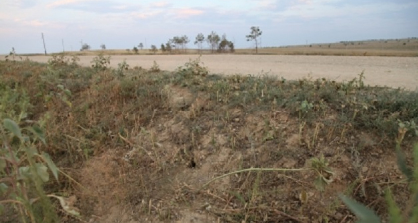 В Соль-Илецке на экскурсии погиб 10-летний мальчик