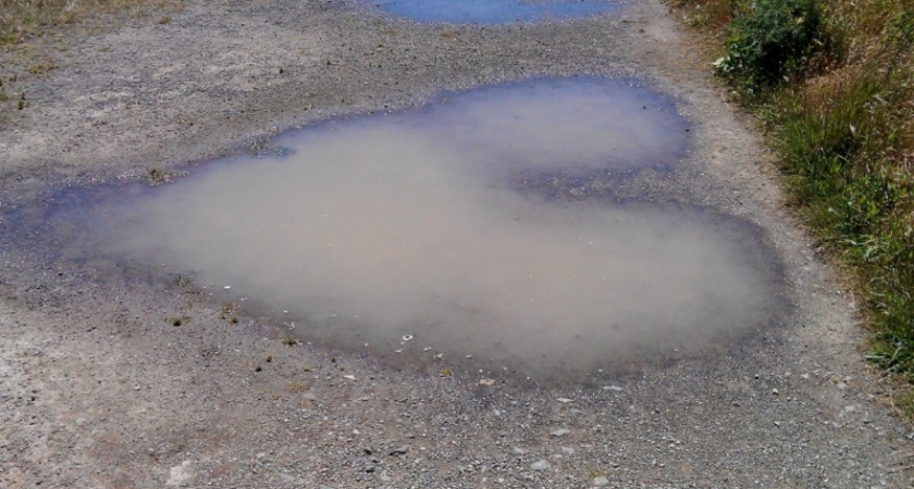 В Грачевском районе мужчина пытался утопить сожительницу в луже
