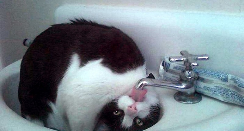 В Оренбурге отключат холодную воду