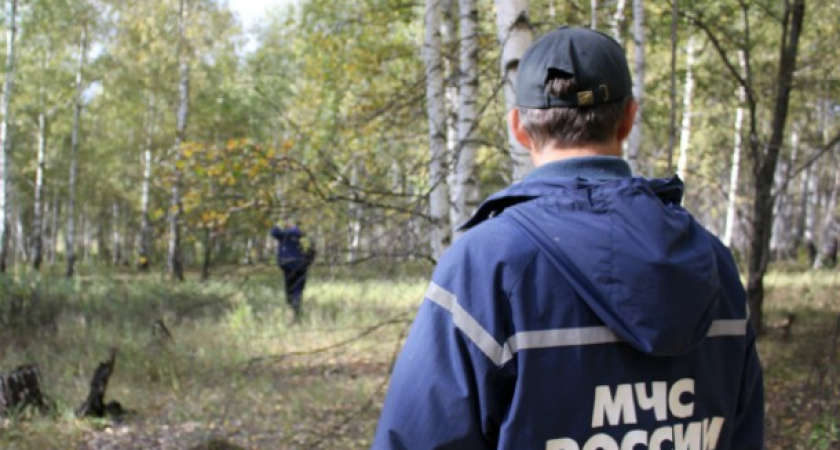 Спасатели разыскали пенсионерку, заблудившуюся в лесу