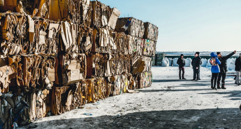 Сто тысяч птиц не могут ошибаться: впечатления блоггеров о мусоросортировочном комплексе