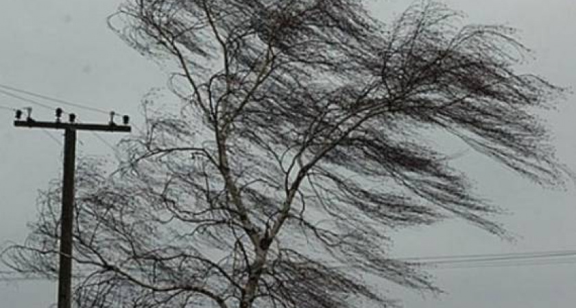 Буря, скоро грянет буря. Погода в Оренбурге на 22 марта