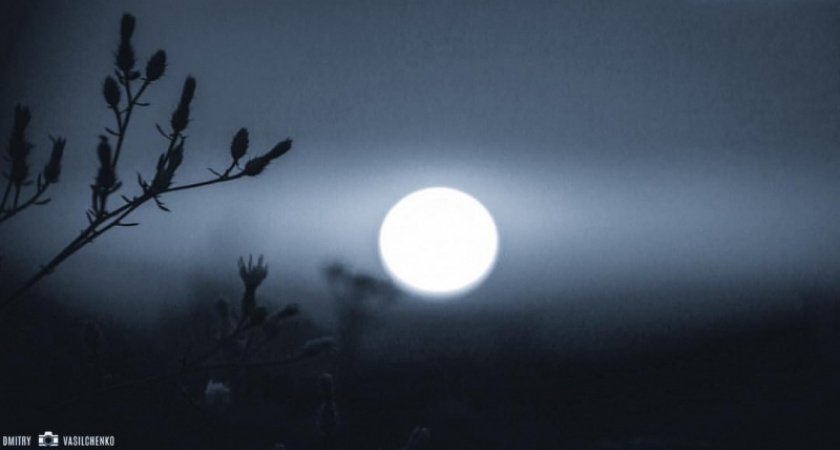 Холод и туман. Погода в Оренбурге на 1 апреля