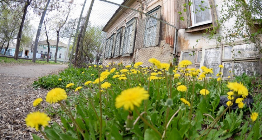 25 градусов выше нуля. Погода в Оренбурге на 19 мая