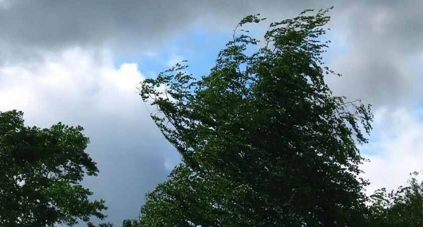 Памятка экстремалам. Что делать при грозе, жаре и сильном ветре