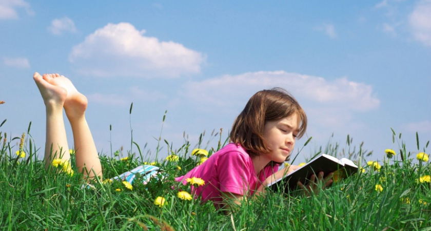 Почитали и хватит. В парке Перовского закрывается летний читальный зал на траве