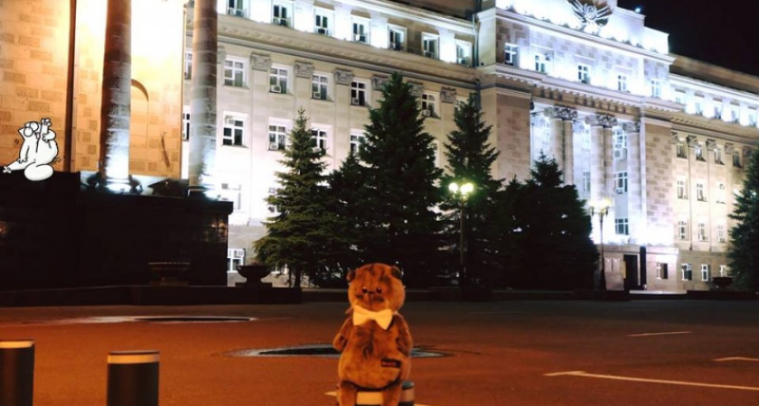 Nude, cats and the City. Оренбургские четверговые коты