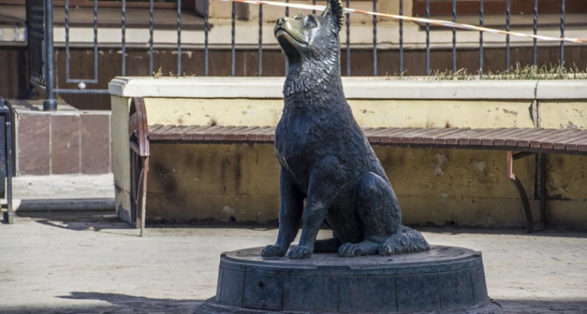 Нюша. Памятник-копилка на Советской помогает бездомным собакам