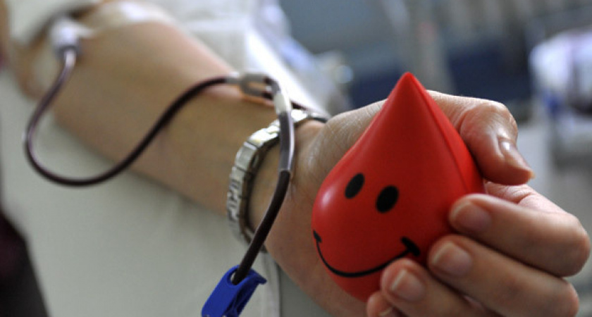 Тихий подвиг. Служба крови разработала первое мобильное приложение для доноров