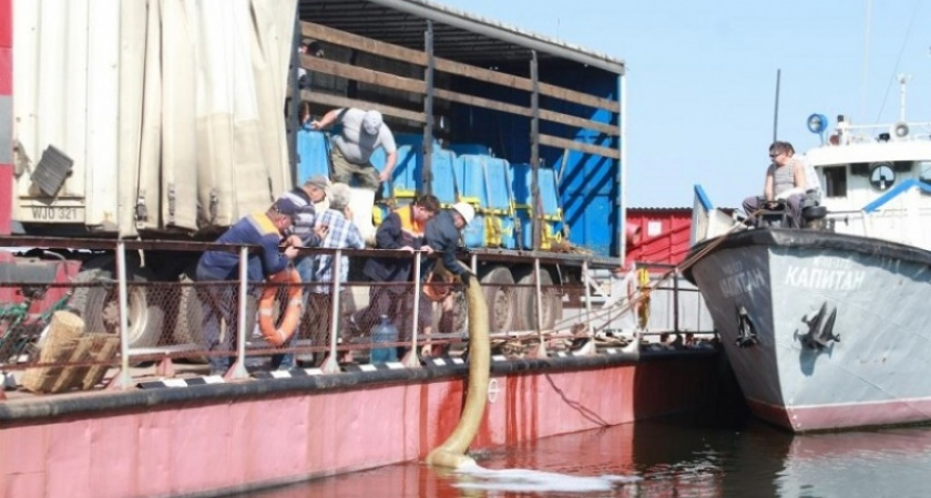 Плыви, толстолобик. Металлоинвест инициировал новый экологический проект в Оренбуржье