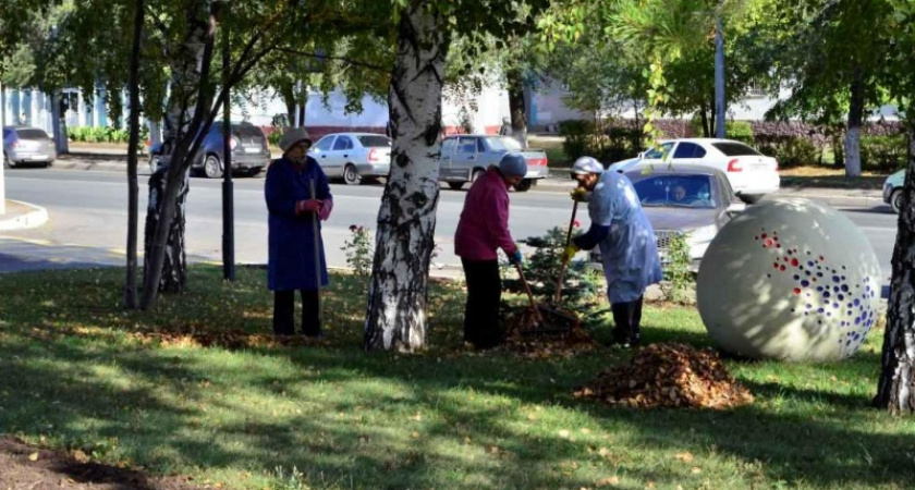 Посадили дерево. Как проходили районные субботники 6 октября