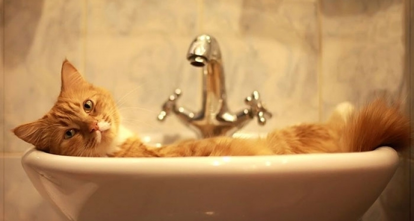 Водичка, умой моё личико. Информация об отключениях 31 октября