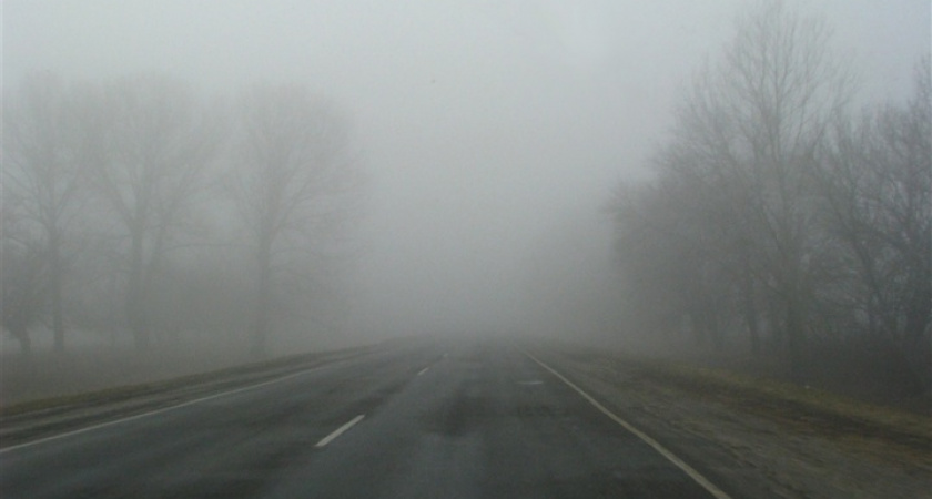 Ёжики в тумане. МЧС предупреждает о плохой видимости на трассе