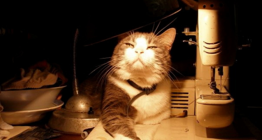 Свет в лицо. Информация об отключениях в Оренбурге 23 ноября