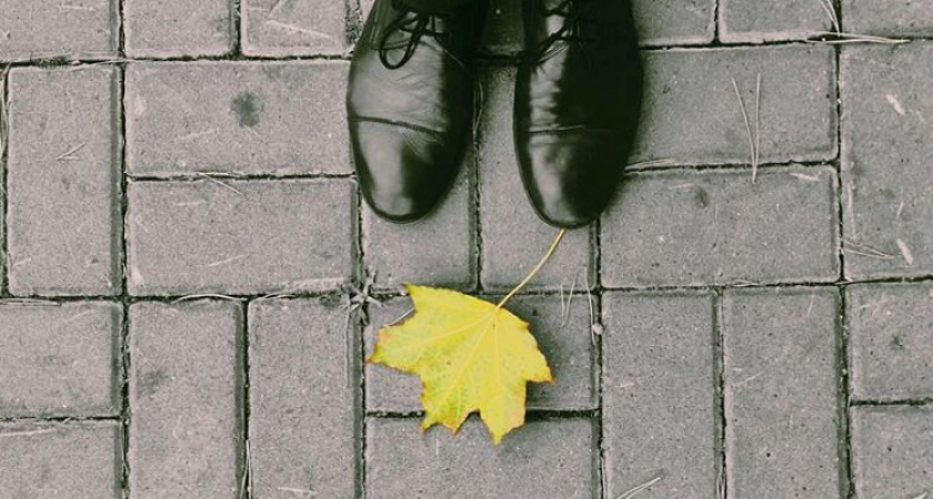 Последний жёлтый лист. Погода в Оренбурге на 28 ноября