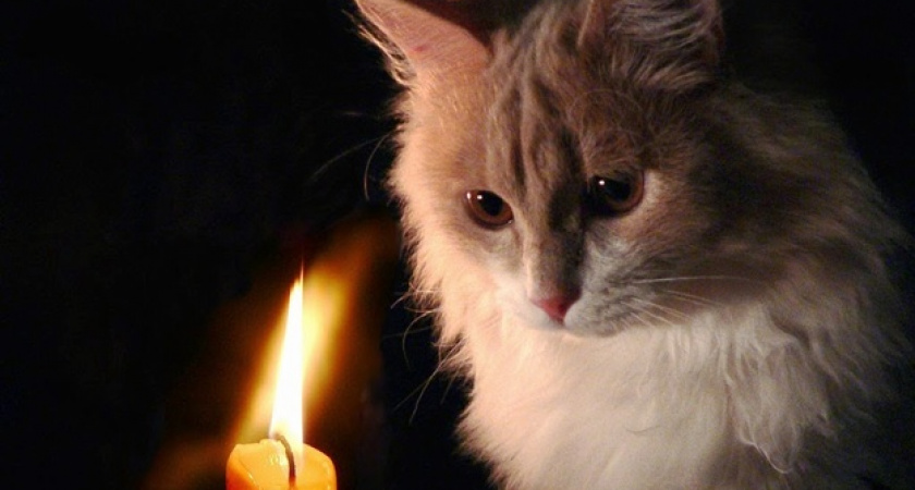 Пляшущее пламя. Информация об отключениях в Оренбурге на 29 ноября