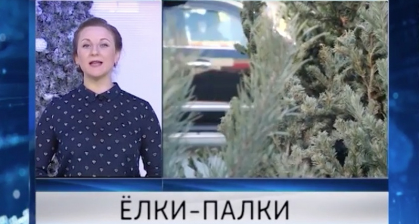 Живые или самодельные. Обзор елочных базаров - ГТРК Оренбург