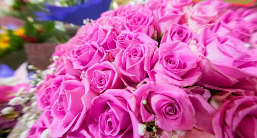 Магазин красоты. В Оренбурге открылся “Первый цветочный”, видео