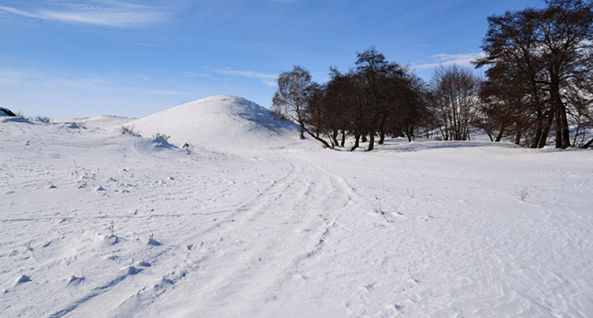 Без лыжни. Фотосет ольховой рощи от MAKI39