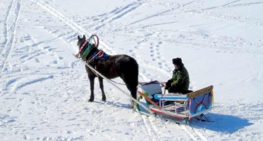 Сани с лошадью. Фото зимних развлечений на Урале от Жанны Валиевой