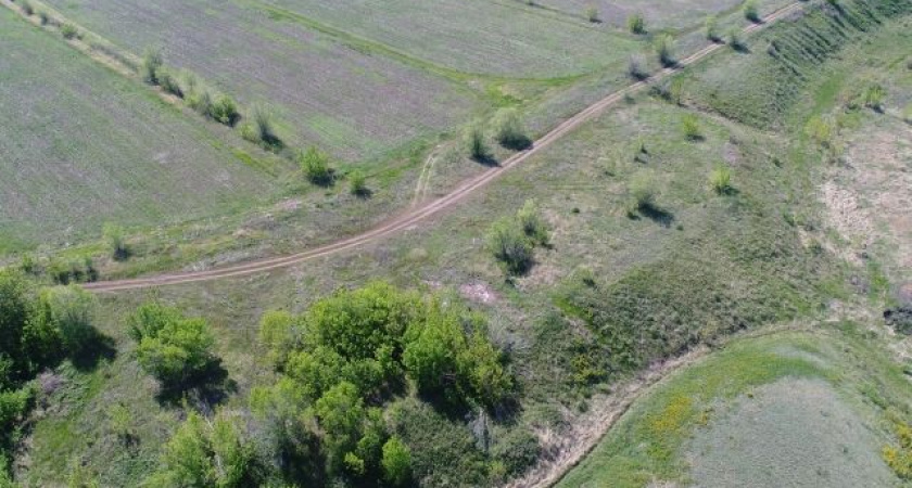 Дорога домой. Найдена пропавшая под Оренбургом пенсионерка