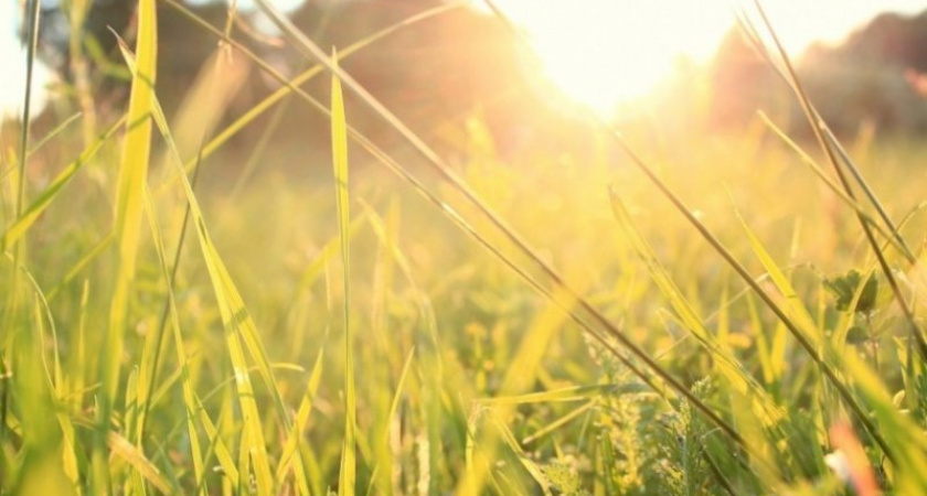 На градус меньше. Прогноз оренбургской погоды на 05.07.18 г.