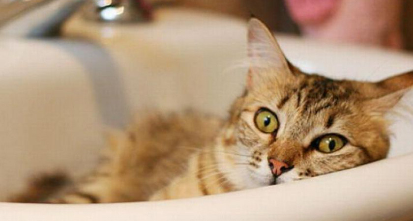 В горле пересохло. Информация об отключениях воды в Оренбурге 07.07.18 г.