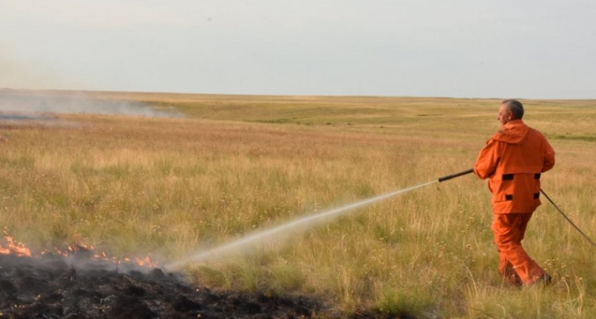 Сухая гроза. Дмитрий Немальцев о противопожарных мерах в заповеднике "Оренбургский"