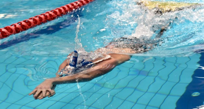 Ждем медали. Оренбургские пловцы выступят на первенстве континента