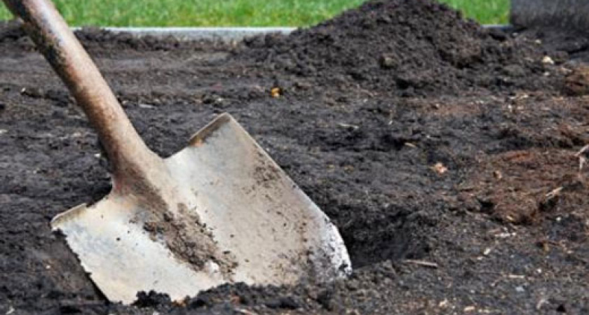 Скелет. Топ-10 криминальных новостей Оренбуржья за 26.07.18 г.