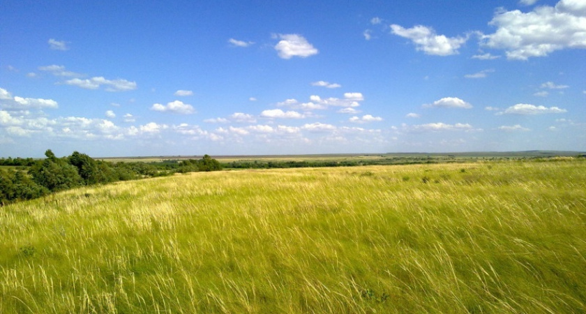 Здесь и сейчас. Прогноз оренбургской погоды на 02.08.18 г.