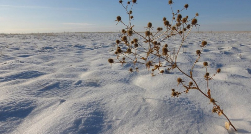 В поля! Ольга Шейдт открывает лыжный сезон в Новотроицке