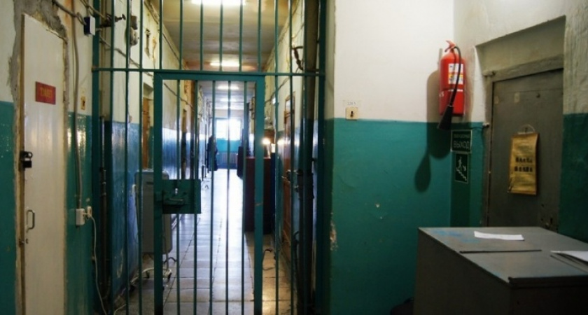 Марлезонский балет. Оренбургского блогера отправили в спецприемник после попытки встретиться с Бреневым
