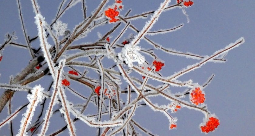 Пушистая неделя. Фотоподборка снежного Оренбурга от Жанны Валиевой