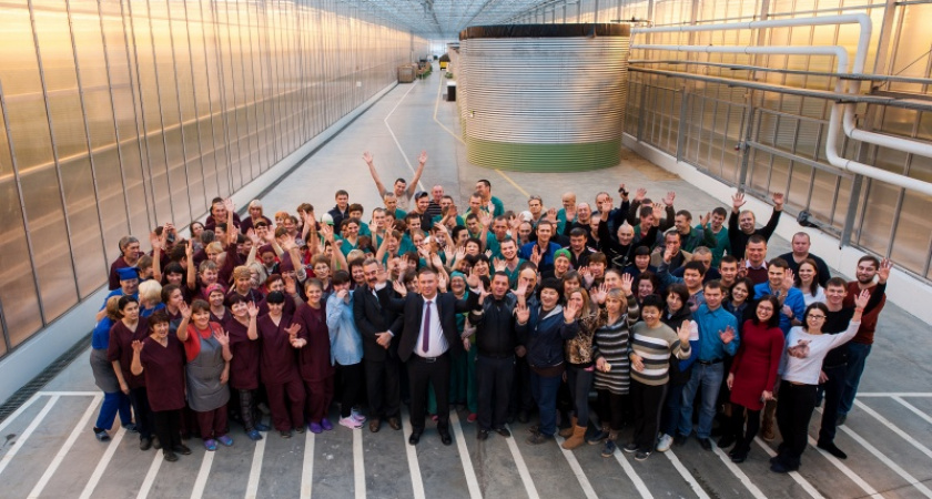 Огурцы и КВН. Как «Кушкульские теплицы» отметят Новый год