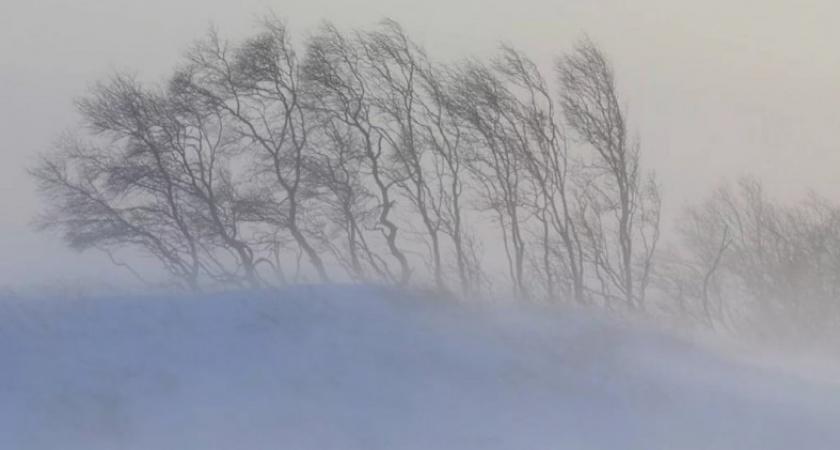 Метель за окном. Прогноз оренбургской погоды на 28.12.18 г.