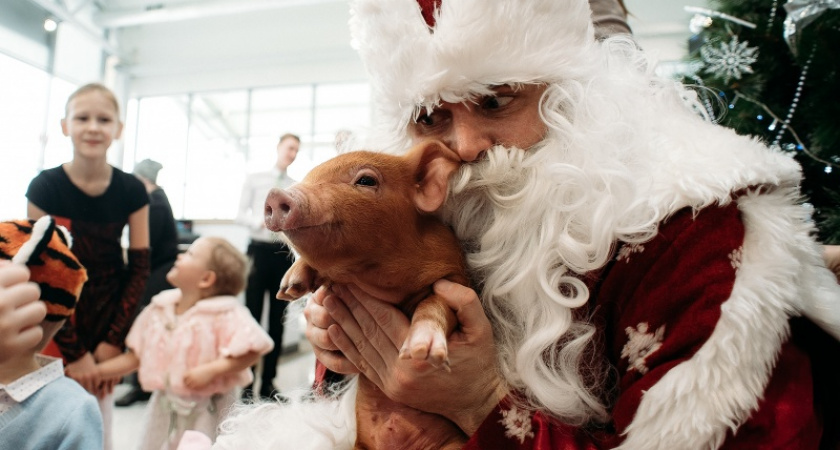 Три кота. Дилерский центр ŠKODA «Автосалон Евразия» провел в Оренбурге новогоднюю елку