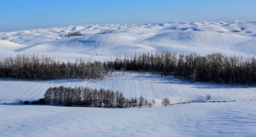 Снега по колено. Дмитрий Немальцев о погоде в оренбургских степях
