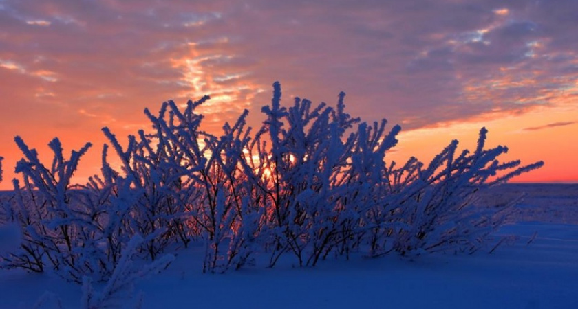 Тёплая, розовая. Фотографии закатной степи от Дмитрия Немальцева