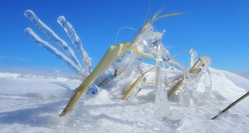 Ледяная красота. Фотографии из заснеженных оренбургских степей Вячеслава Четверова