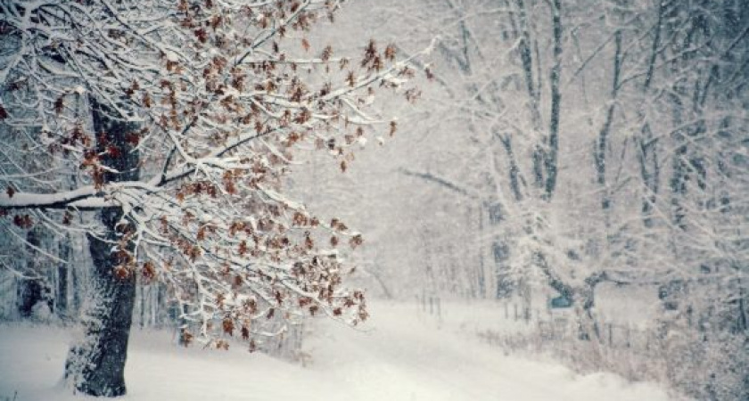 По-прежнему зима. Прогноз оренбургской погоды на 15.01.19 г.