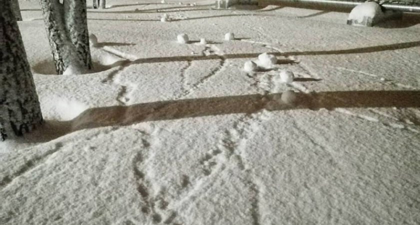 Нерукотворные снежки. Андрей Рязанцев о необычном зимнем явлении в Оренбурге