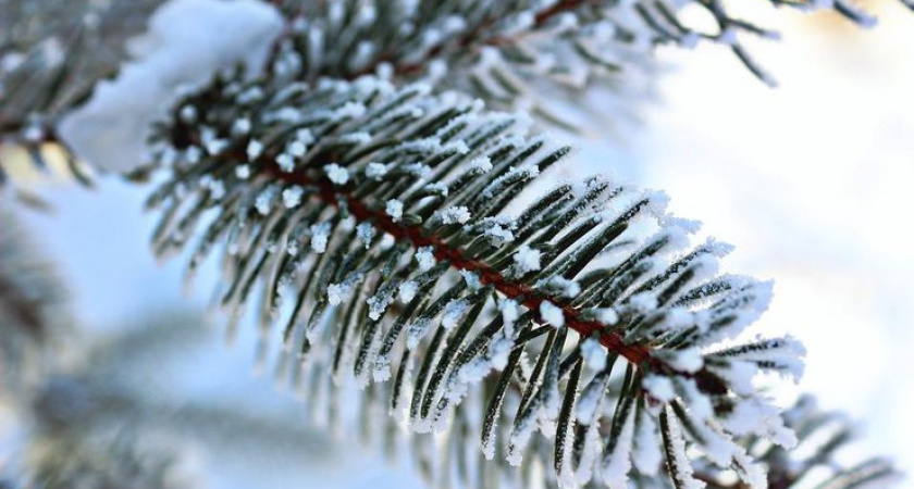 Суровая русская зима. Прогноз оренбургской погоды на 22.01.19 г.