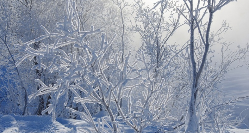 Тридцатиградусные морозы. Прогноз оренбургской погоды на 23.01.19 г.