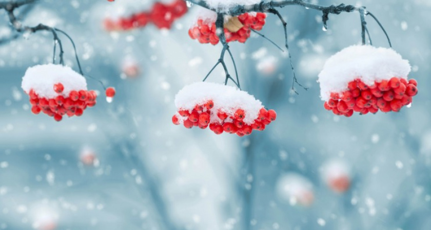 Антициклональная деятельность. Прогноз оренбургской погоды на 02.02.19 г.