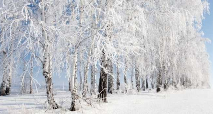 Еще немного снега. Прогноз оренбургской погоды на 03.02.19 г.