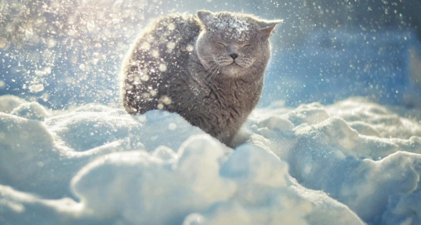 Мокрый снег. Прогноз оренбургской погоды на 15.02.19 г.