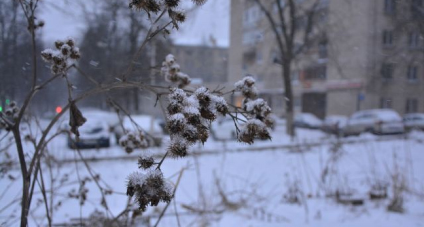 Ниже нуля. Прогноз оренбургской погоды на 15.03.19 г.