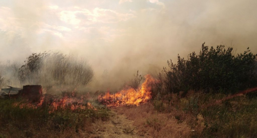 Фронт возгорания масштабный. В Оренбуржье степные пожары угрожают четырем населенным пунктам
